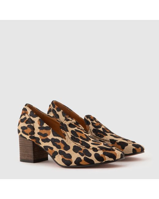 Mariano Shoes Brown Alfama Pump Leopard