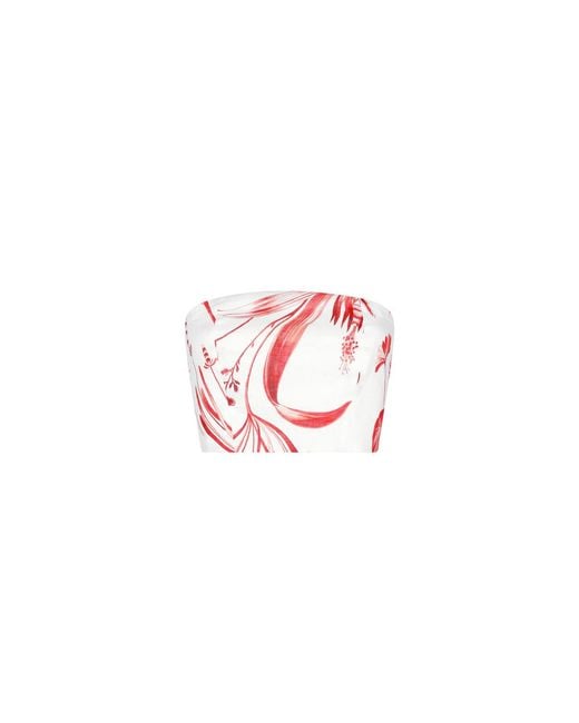 Aguaclara Red Rouge Bustier Top
