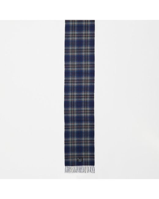 Hegarty Blue Tan Check Tartan Lambswool Scarf