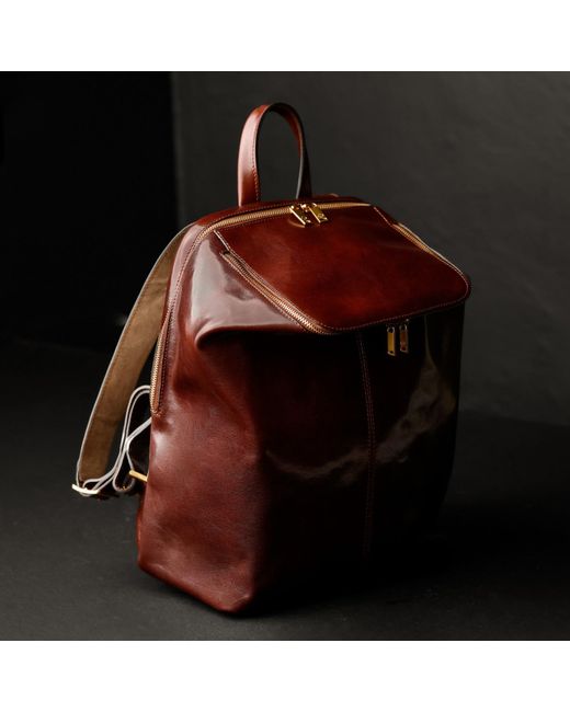 Time Resistance Brown Leather Backpack