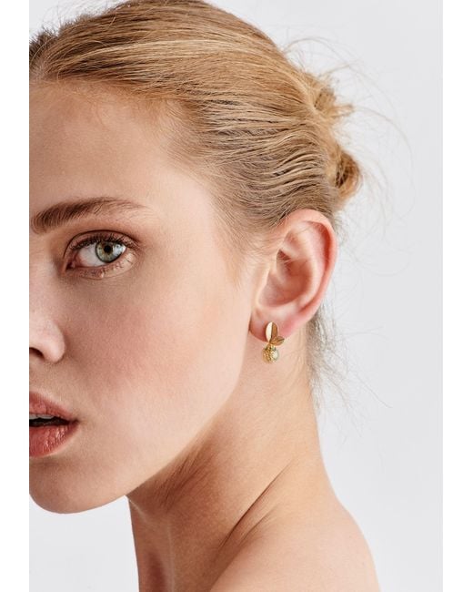 Paisie Metallic Leaf Sphere Earrings