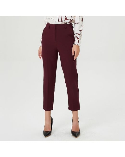 Smart and Joy Tapered Capri Pants -Burgundy