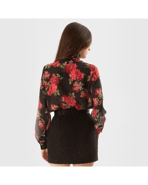 Ilvi Red Ochoa- Shirt