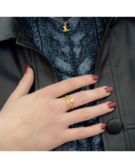 Shaded the Label Metallic Silvi Sundial Stacked Ring
