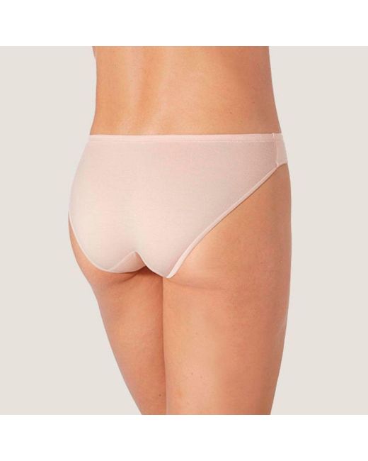 Zd - Zero Defects Natural Venus Mini Brief – Comfortable Fit & Skin-Friendly Soy Fiber