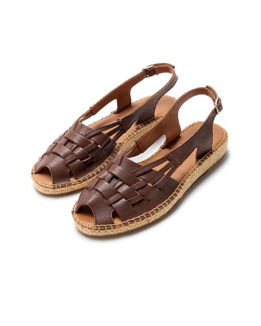 Naguisa Brown Etel