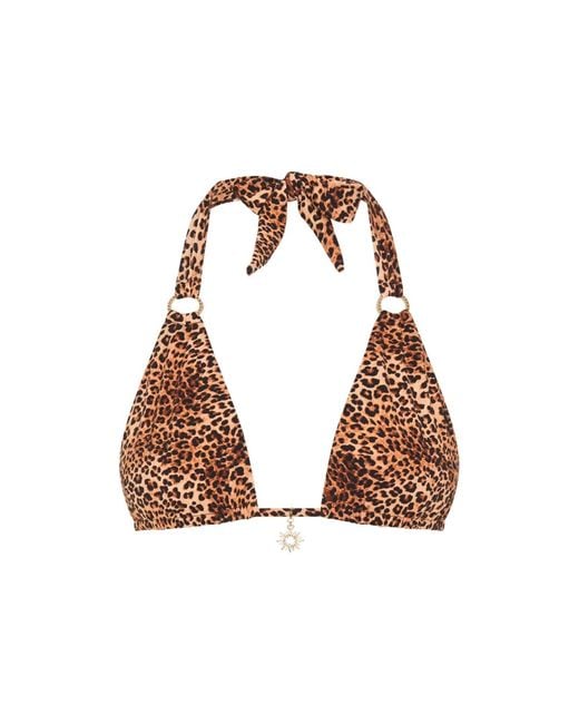 Soleil State Brown Sunseeker Leopard