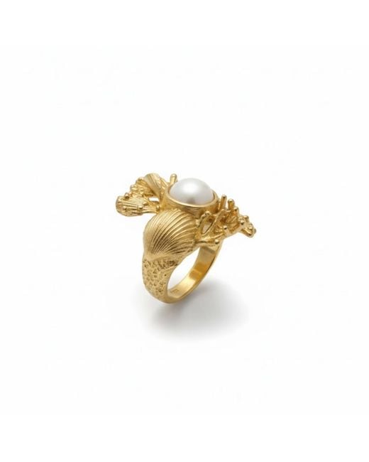 Silver & Elegant Co. Metallic Ocean Sculpture Charcoal Coral Ring