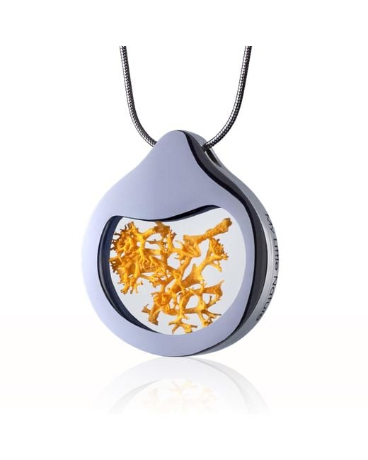 My Little Nature Blue Artisan Necklace With Preserved Butter Moss – Handmade Nature Jewelry