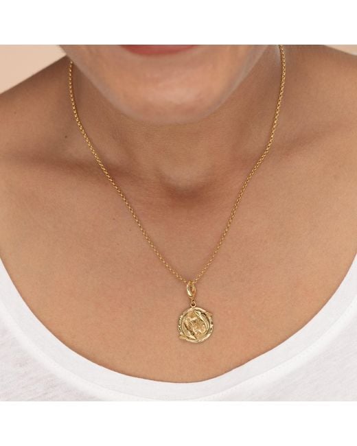 Lily Charmed Metallic Plated Pisces Zodiac Charm Necklace