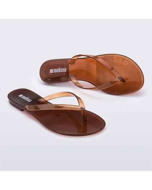Melissa Brown Harmonic Jelly