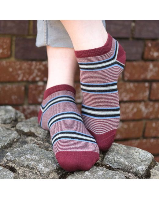 Peper Harow - Made in England Red Block Stripe Fire & Multistripe Burgundy Trainer Socks Bundle for men
