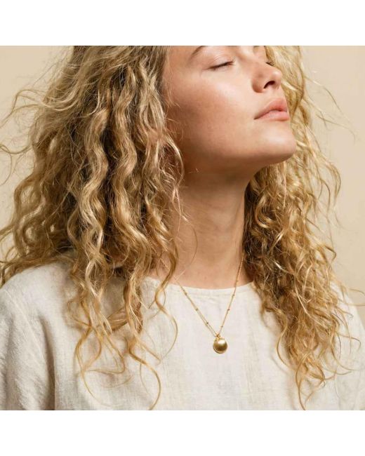 Dainty London Metallic Solid Seashell Necklace