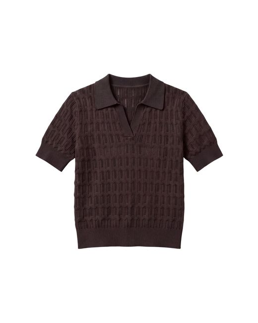 Brodie Cashmere Brown Scallop Trim Pretty Polo
