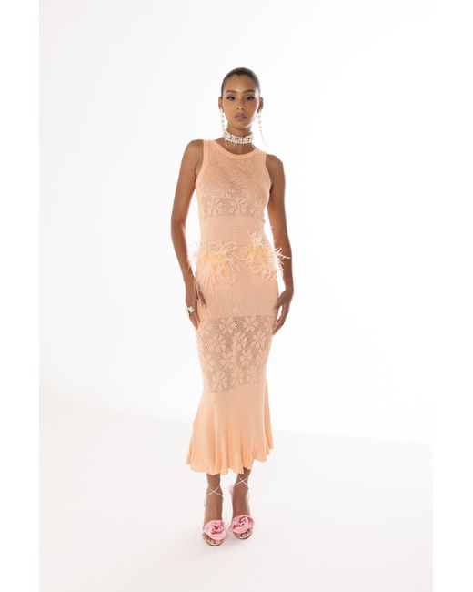 Andreeva Orange Vanilla Apricot Knit Dress With Feathers
