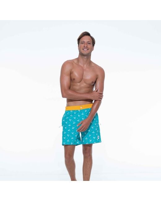 Live Kolibri Blue Luxury Swim Trunks for men