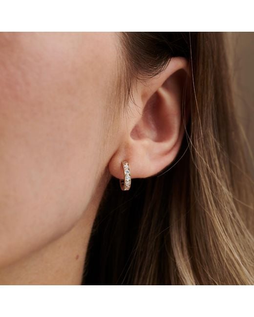 Posh Totty Designs Metallic Gold Huggie Earrings