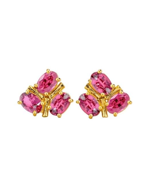 Juvetti Pink Ligna Oval Sapphire Cluster Stud Earrings
