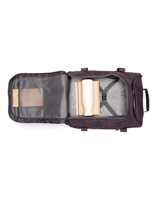 Lefrik Purple Wanderer Backpack Wine