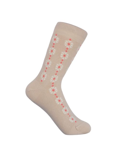 Peper Harow - Made in England Red Daisy Socks – Bundle