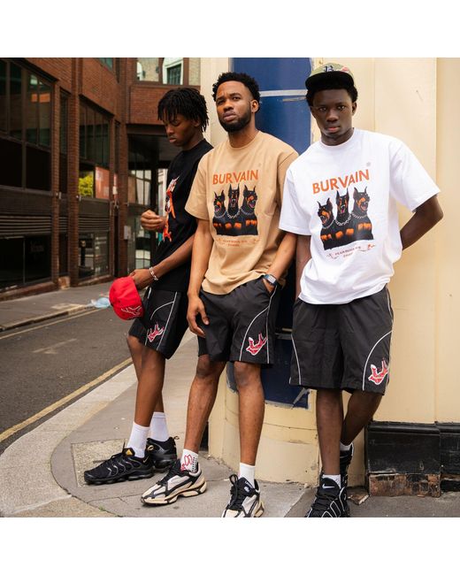 Burvain. Brown Brothdog Tee for men