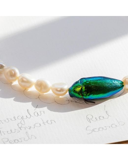 Oana Savu Metallic Beetle Real Insect And Freshwater Pearls Choker