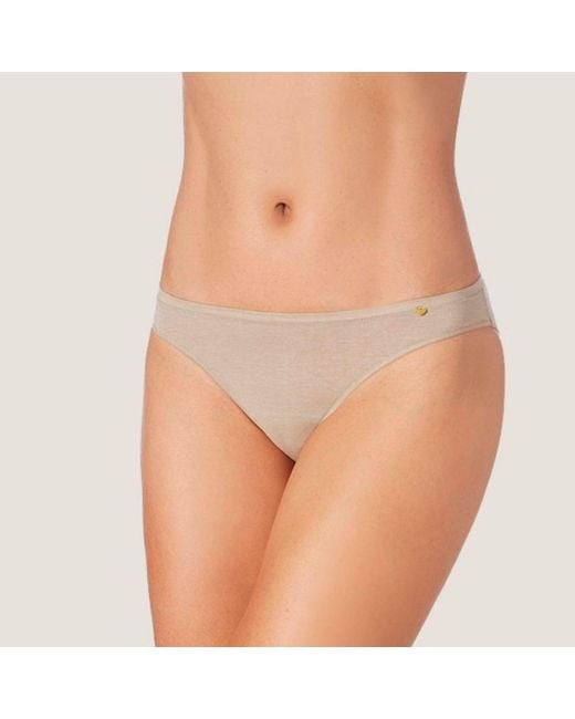 Zd - Zero Defects Gray Neutrals Venus Mini Brief – Comfortable Fit & Skin-Friendly Soy Fiber
