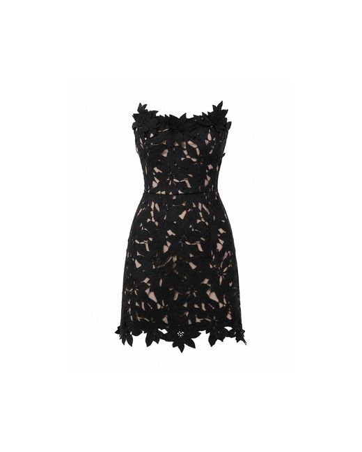 Curated Row Black Edena Floral Lace Mini Dress