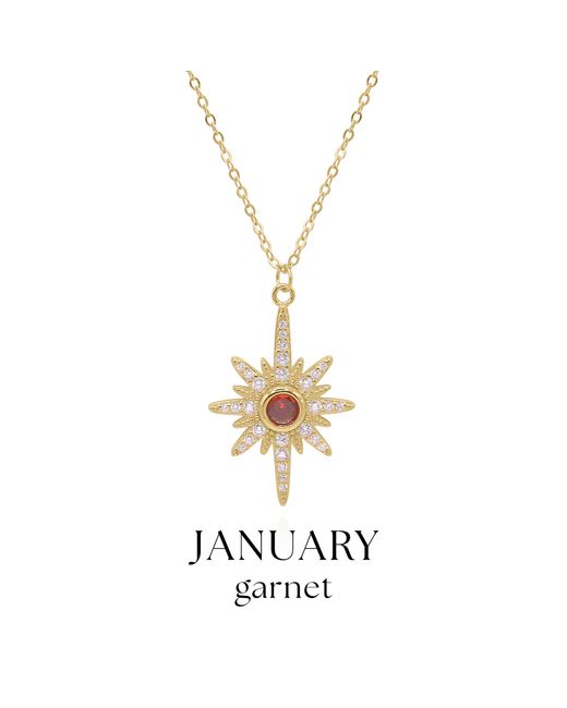Luna Charles Metallic Heidi North Star Birthstone Necklace Plated January
