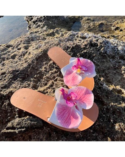 Sibylla Delphica Pink Calanthe Flat Leather Sandals