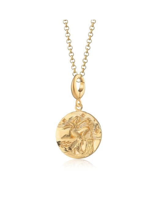 Lily Charmed Metallic Plated Aquarius Zodiac Charm Necklace