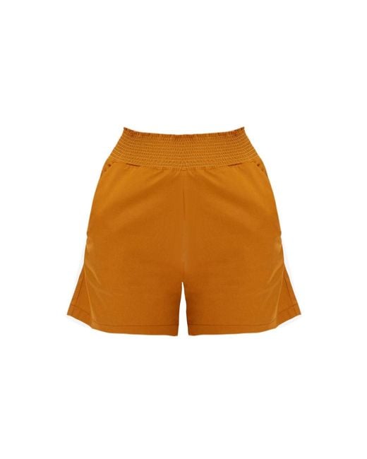 Mirimalist Brown Cinnamon Shorts