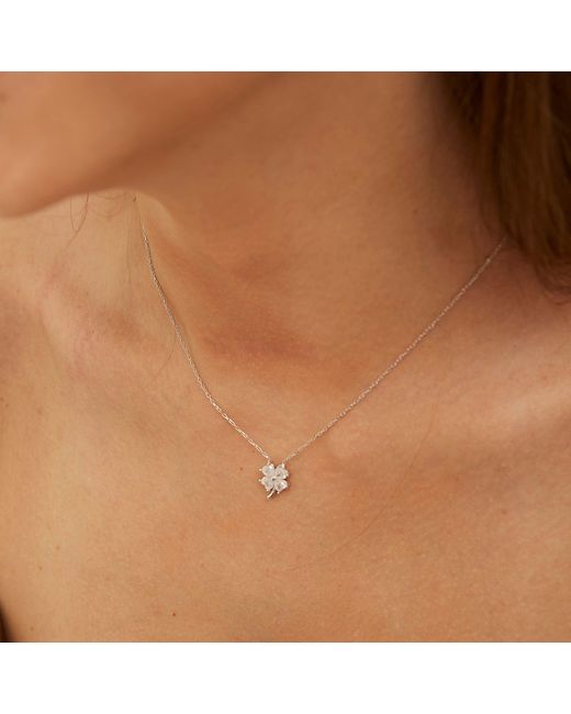 Spero London Metallic Four Leaf Clover Sterling Necklace