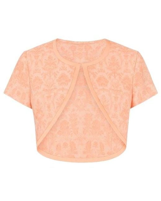 Conquista Orange Short Sleeve Print Bolero By Fashion