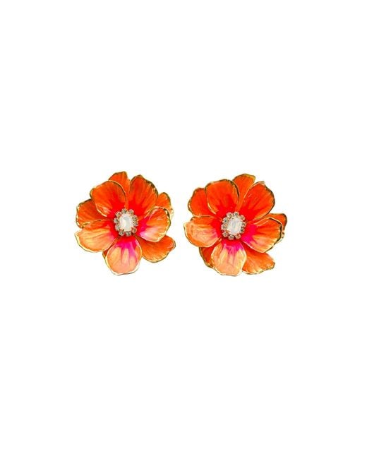 The Pink Reef Orange Jewel Box Florals