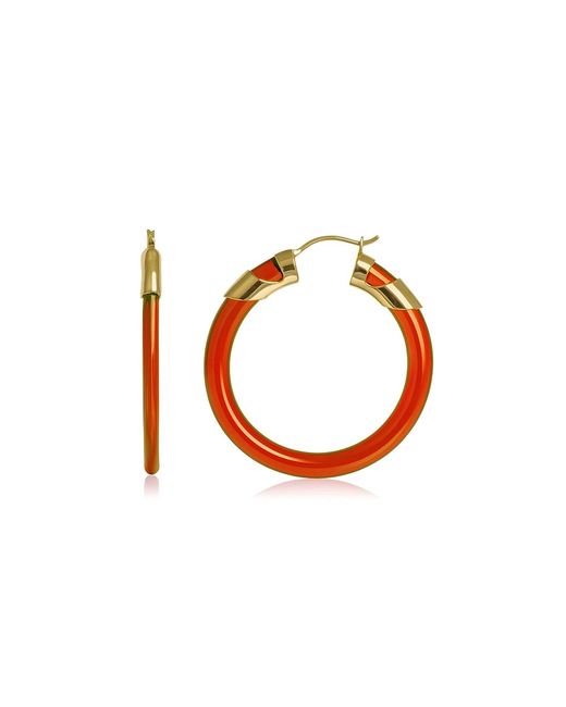 Gold & Honey Multicolor Garnet Classic Flat Lucite Birthstone Hoop Earrings