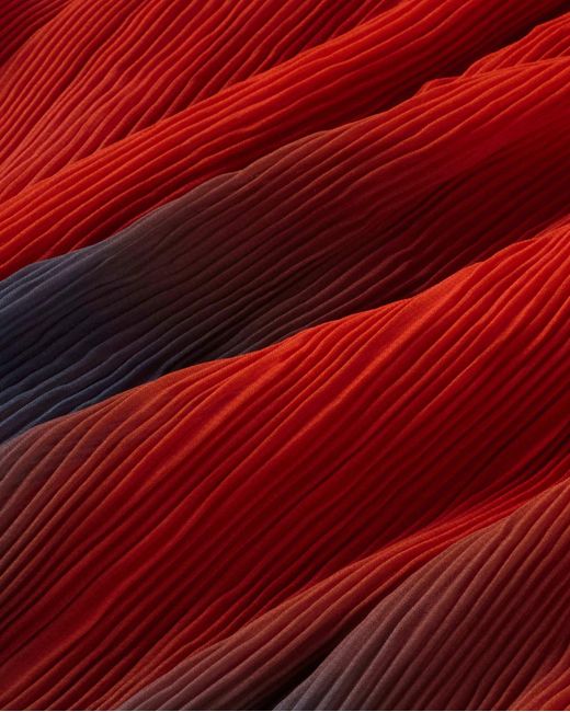 Thinking Mu Red Pleated Long Skirt Flowers Pauline