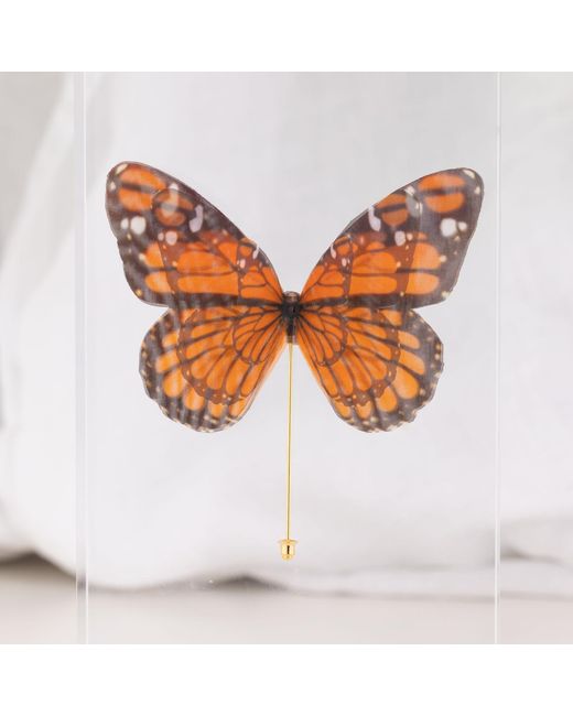 Oana Savu Orange Pin Silk Butterfly Brooch