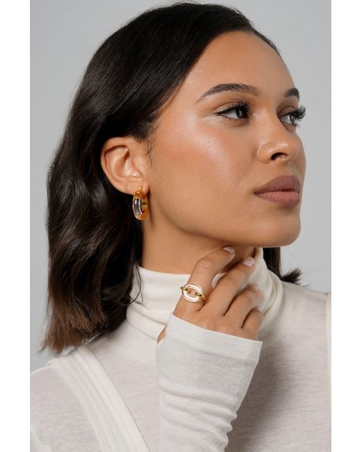Zynnia Collective Metallic Split Hoops