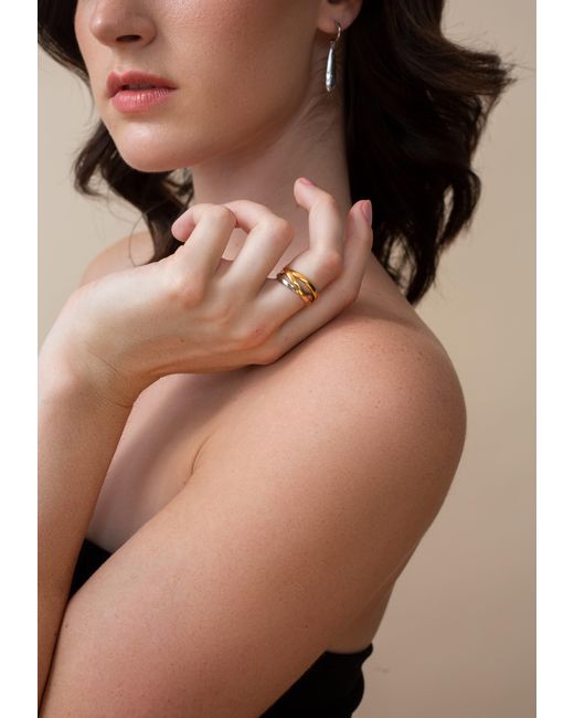 Zynnia Collective Metallic Two Tone Interlink Ring