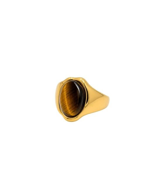 Uchi and Soto Metallic Nekomeishi Tigers Eye Ring