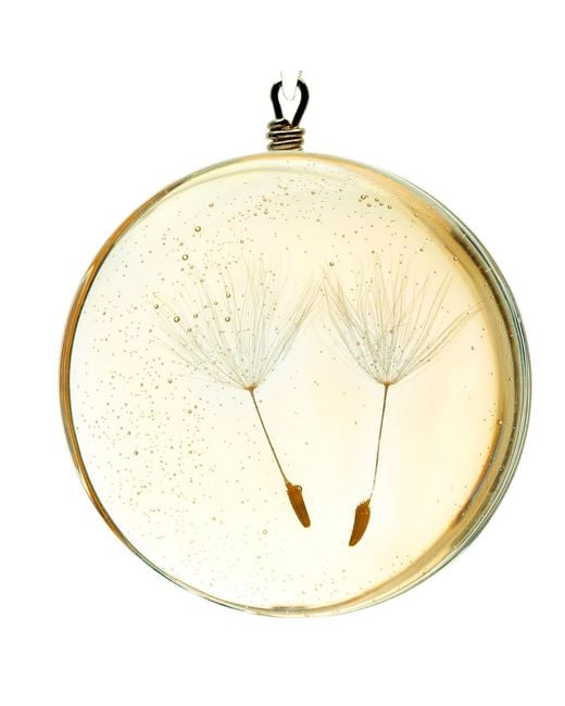 Laura Daili Metallic Glass Pendant A Wish Amber