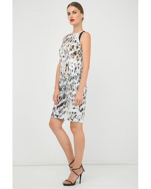 Conquista Black Print Sleeveless Dress With Contrast Detail