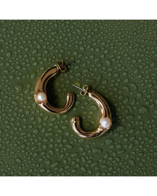 Leeada Jewelry Metallic Lune Earrings