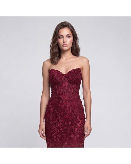 Angelika Jozefczyk Red Catrice Lace Corset Top Burgundy