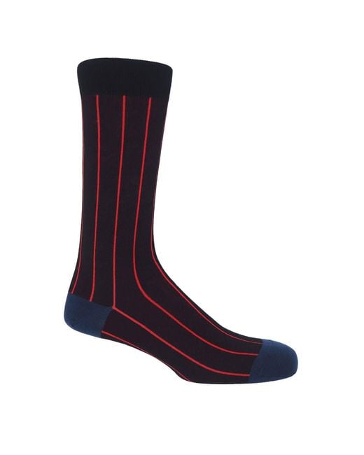 Peper Harow - Made in England Gray Pin Stripe & Luxury Crew & Trainer Socks Bundle for men