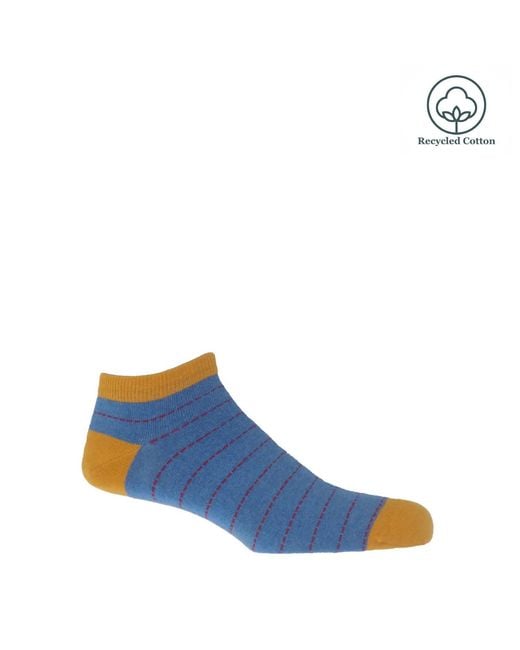 Peper Harow - Made in England Blue Dash Trainer Socks Bundle for men