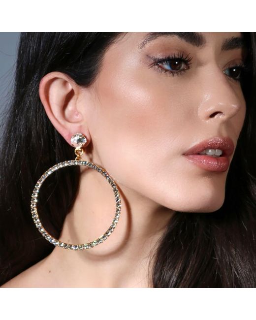 Vicki Sarge Brown Neutrals The Large Clear Hoop Earrings