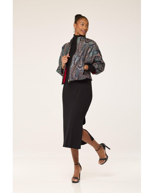 Lioness by Tf Gray The Peacock Jacket