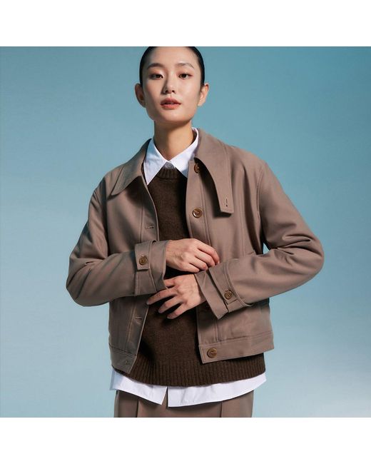 Smart and Joy Gray Buttoned Collar Short Jacket